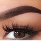 Brow Pencil